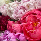 Peony Bouquet