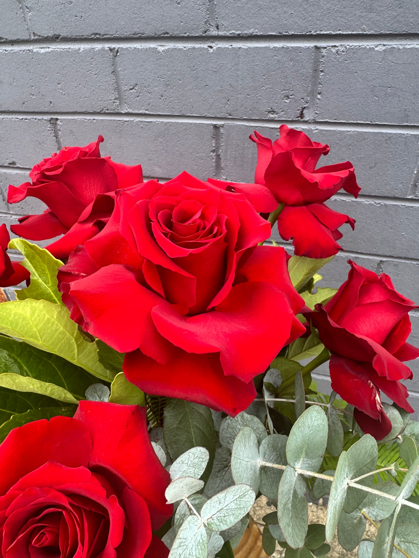 Premium Half Dozen Red Roses